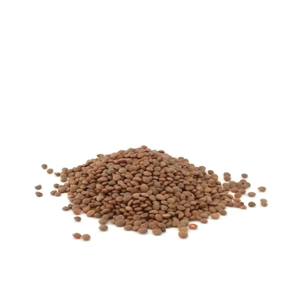 Lentils Brown