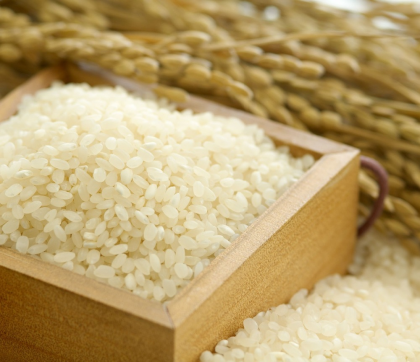 Rice Short Grain White