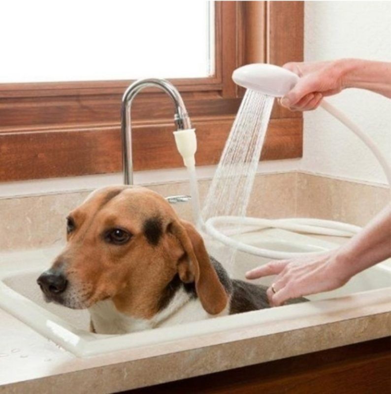 Shower Head