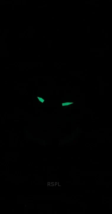 Bulova Marine Star Stainless Steel Open Heart Blue Dial Automatic 98L317 100M Women's Watch