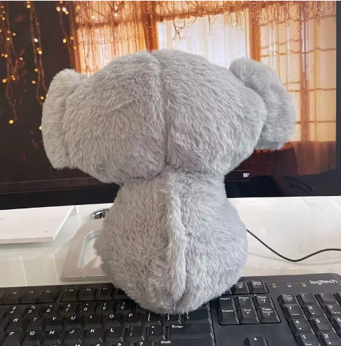 The Relief Koala