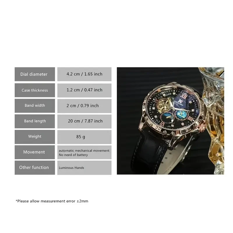 Luxury Men's Automatic Mechanical Watch