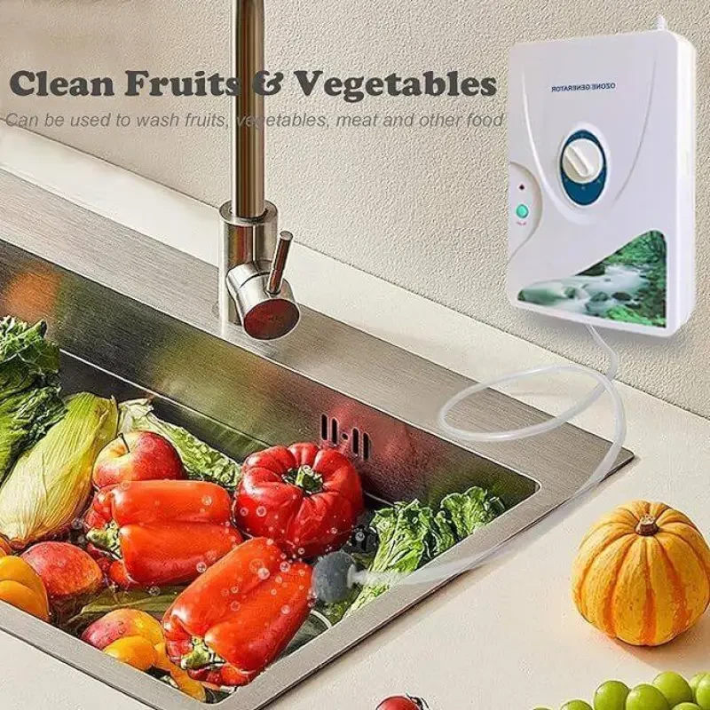 Vegetable Washing Machine