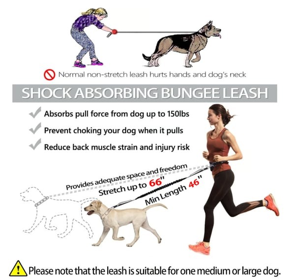 Hands Free Dog Leash with Zipper Pouch