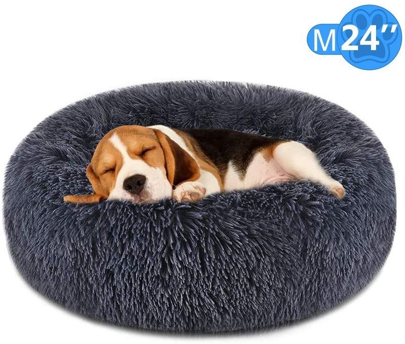 Cat Bed M