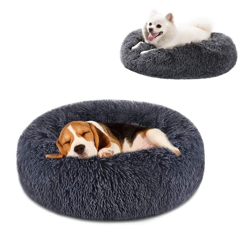 Cat Bed M