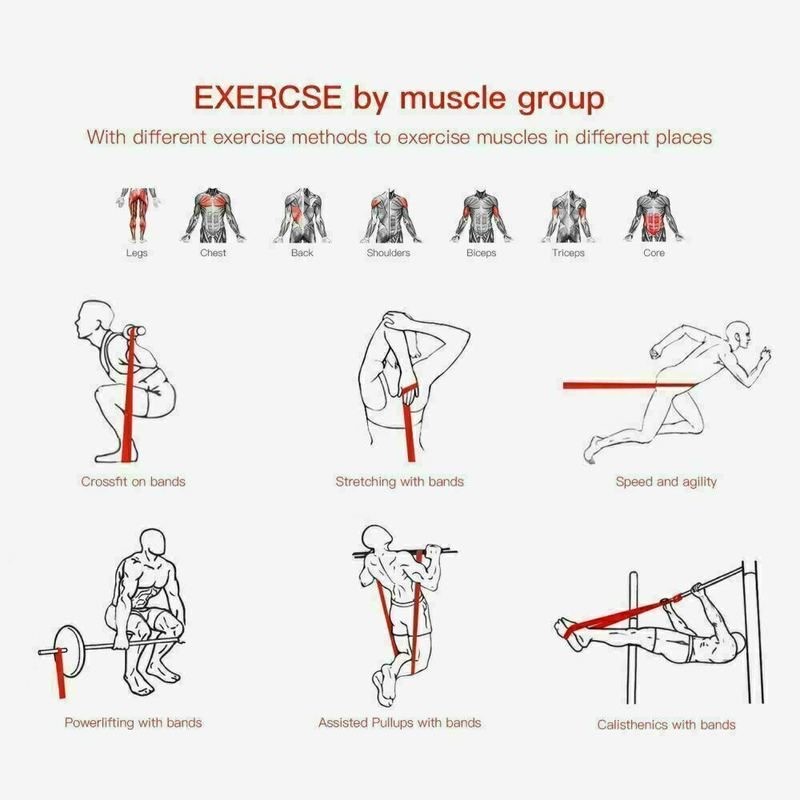 Purple Resistance Bands