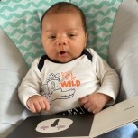 NB002 - Native NZ Baby Meets Bird | Contrast Board Book