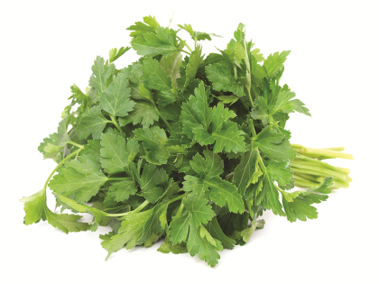 Chervil - Produce