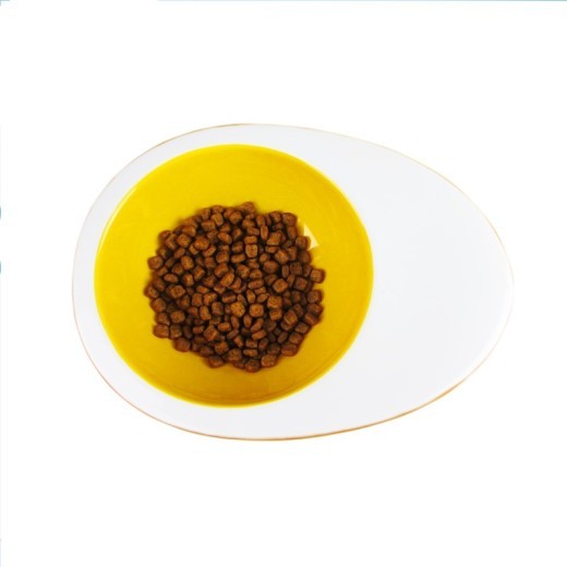 Pet ceramic bowl
