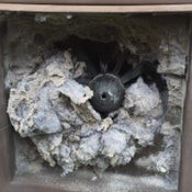 Dryer Vent Chimney Cleaning Brush Kit