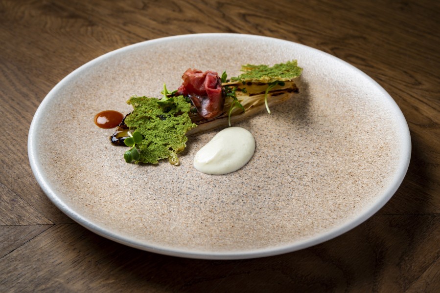 Luca Salmon Plate 210mm - Bonna