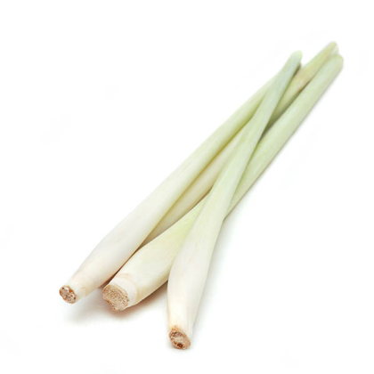 Lemongrass