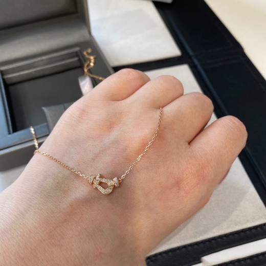 Horseshoe Buckle Necklace 18k Rose Gold Diamond Clavicle Chain Bracelet