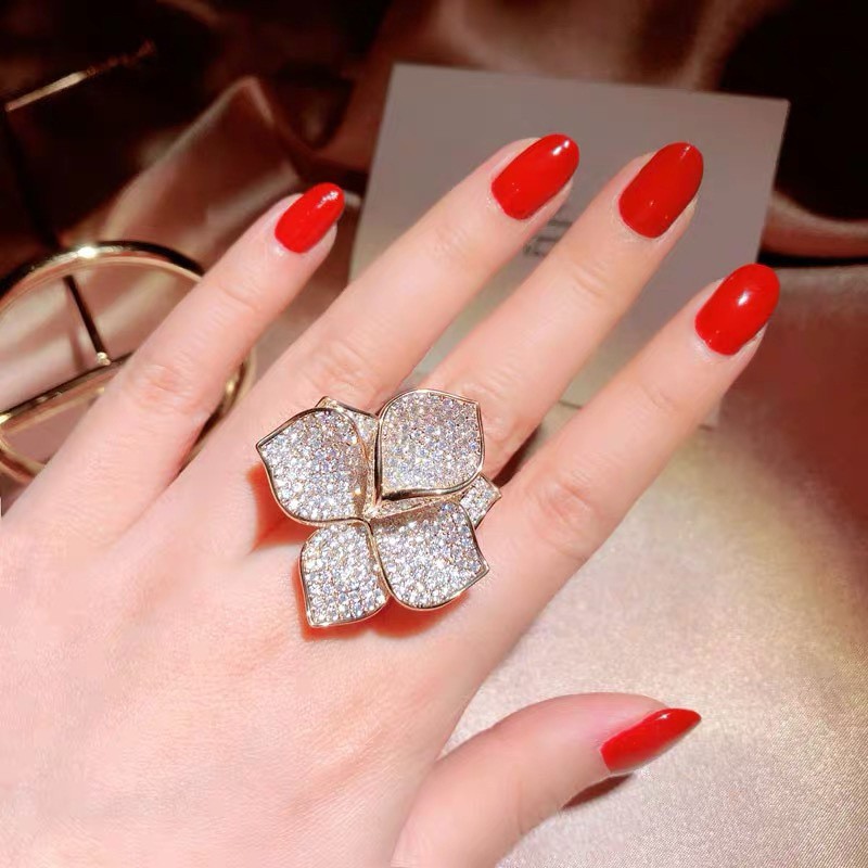 Niche Design Cold Wind Light Luxury Exquisite Ins Trendy Index Ring