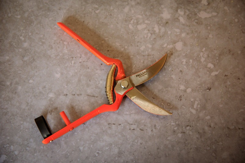 Pallares Pruning Shears