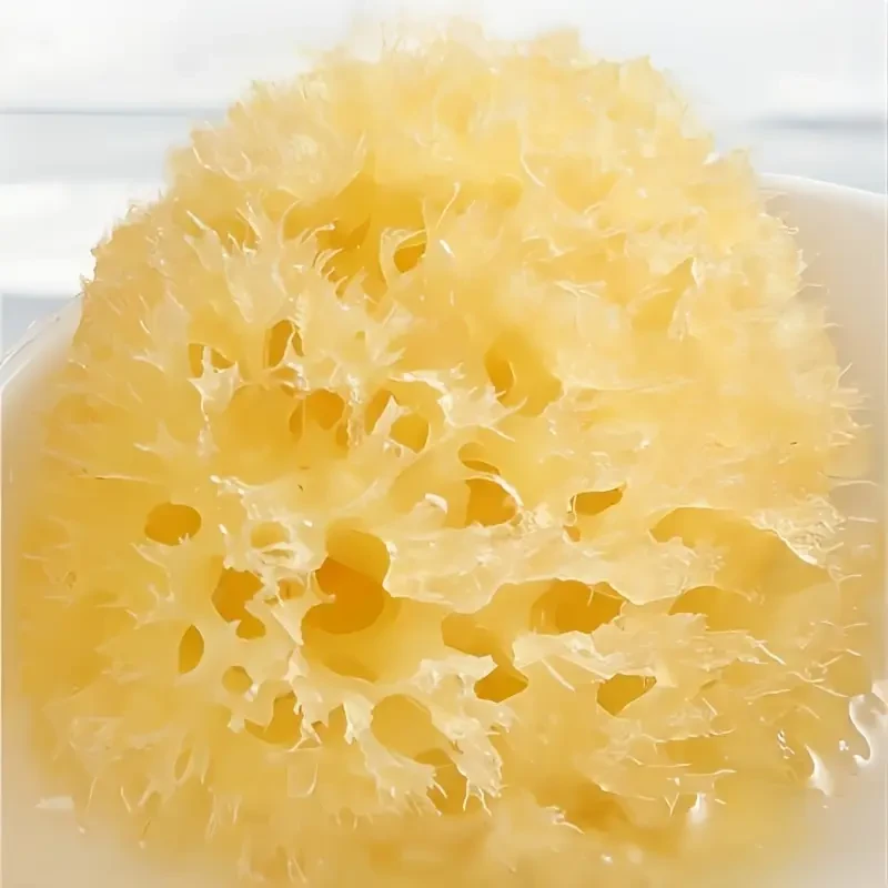 BBV Natural Sea Sponge