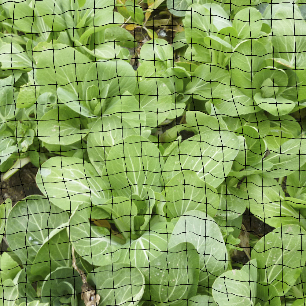 Free bird netting