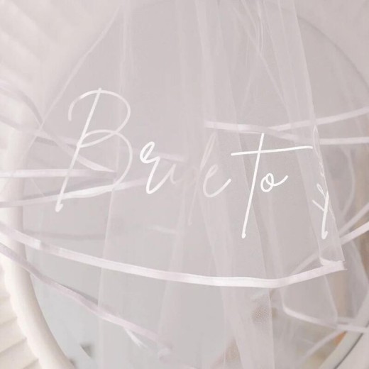 Bachelor Party Bridal Comb Double Layer Veil