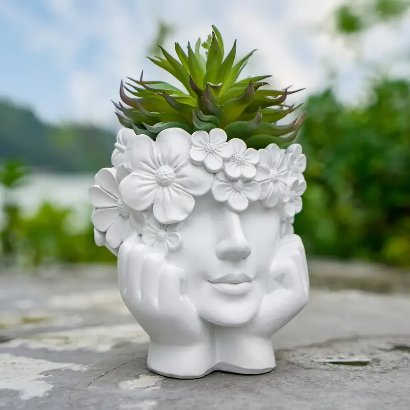 1pc of Face Flower Pot