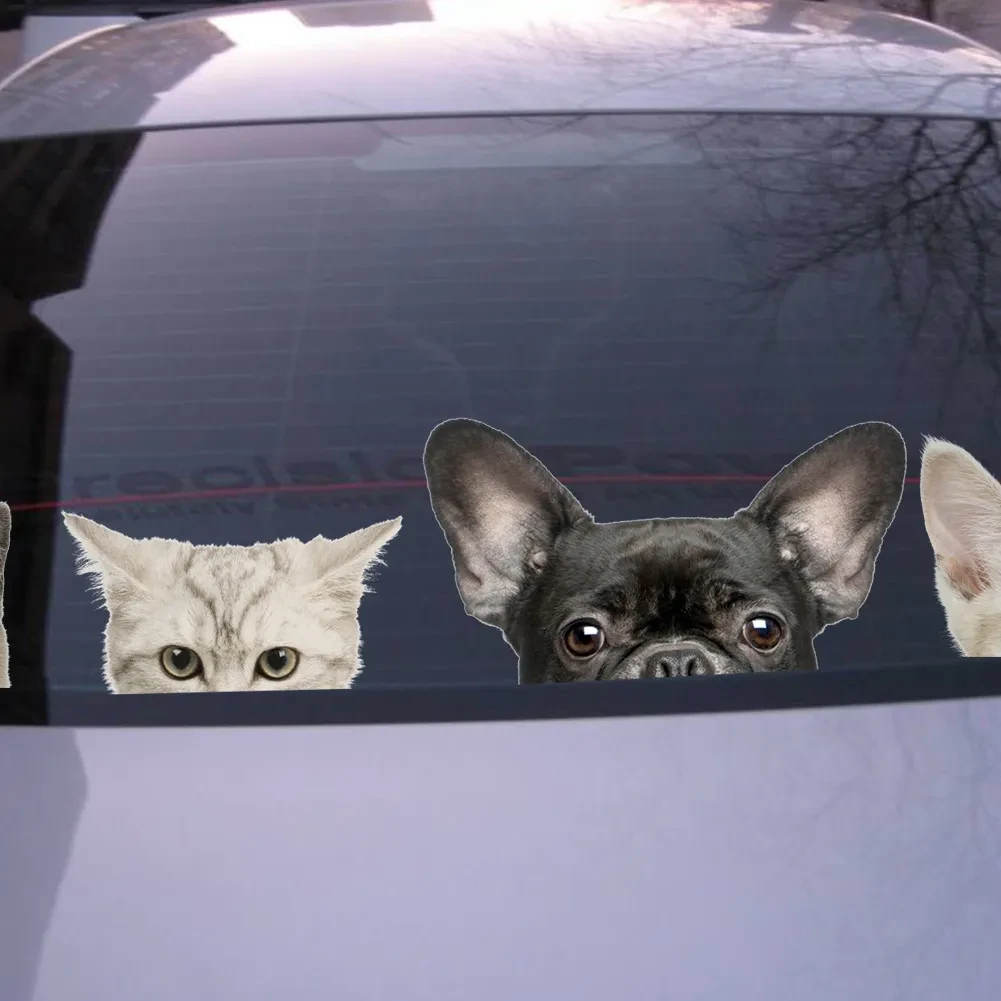 Peeking Stickers Car