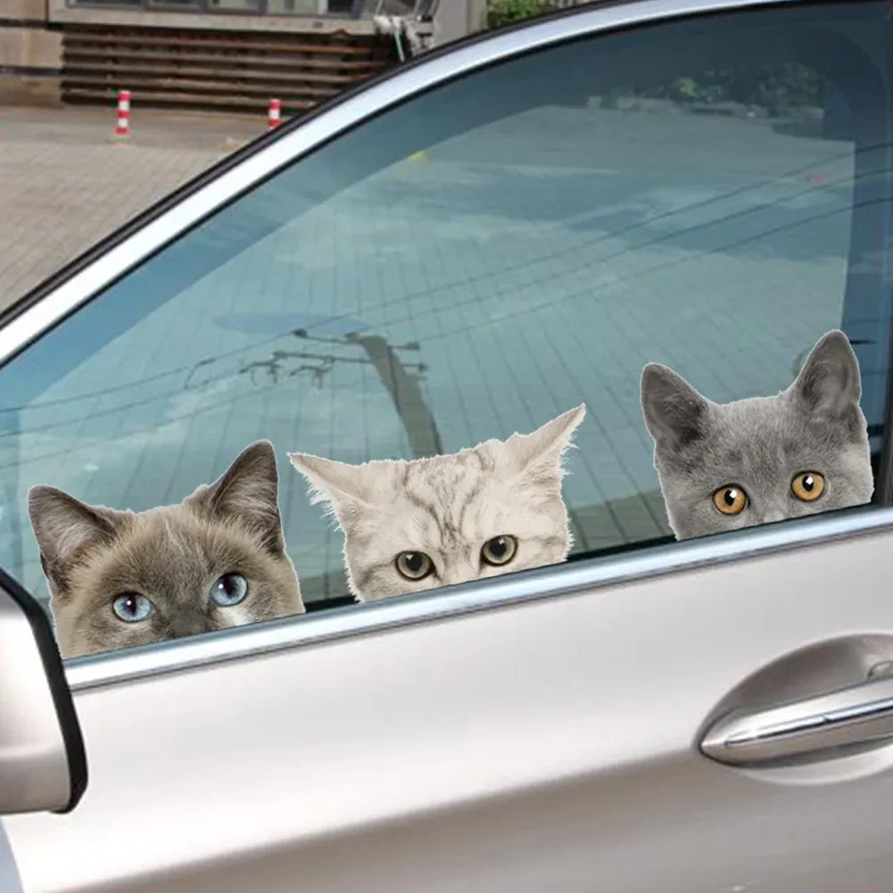 Peeking Stickers Car