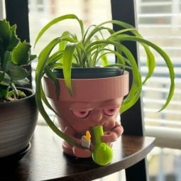 The Plant Pot that Puffs πΏπ¨