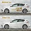 Rubber Wheel Decal Remover