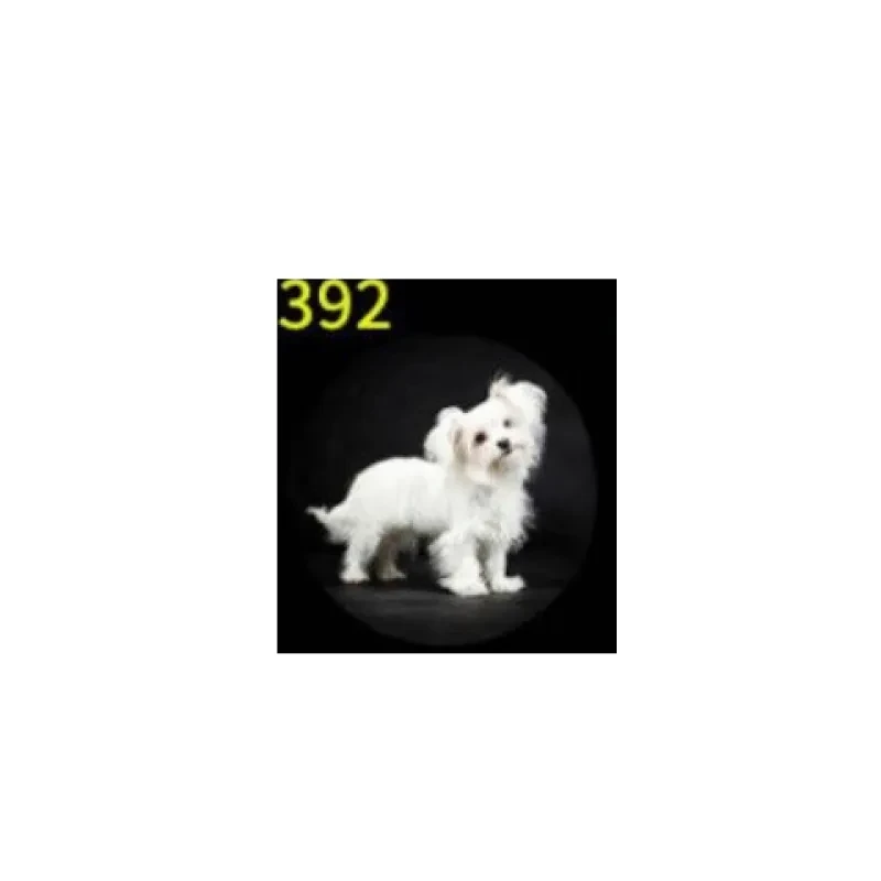 Car HD Rechargeable Wireless Door Welcome Light