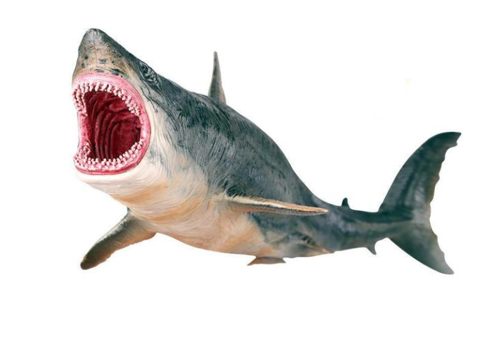 Megalodon Prehistoric Shark Model Toy