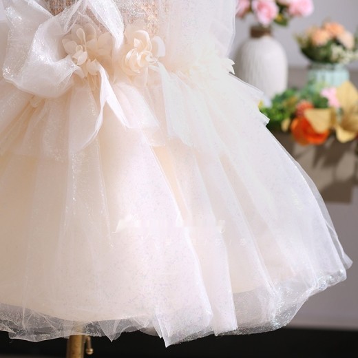 Girls Birthday Years Old Baby Princess Dress