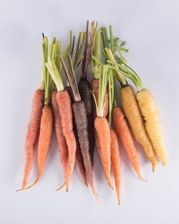 BABY CARROTS (MIXED COLOUR) (PER KG) - [PRODUCE]