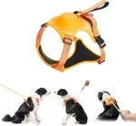 Harness and Retractable Leash Set All-in-One