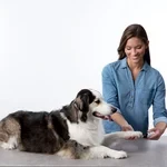 Rechargeable Pet Nail Grinder Soundless Good for Pet's Health