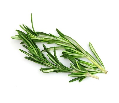 HERB ROSEMARY (PER KG) - [PRODUCE]