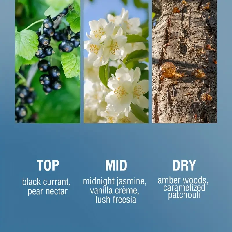 Lanimpress Samba Passion XIV Body Spray