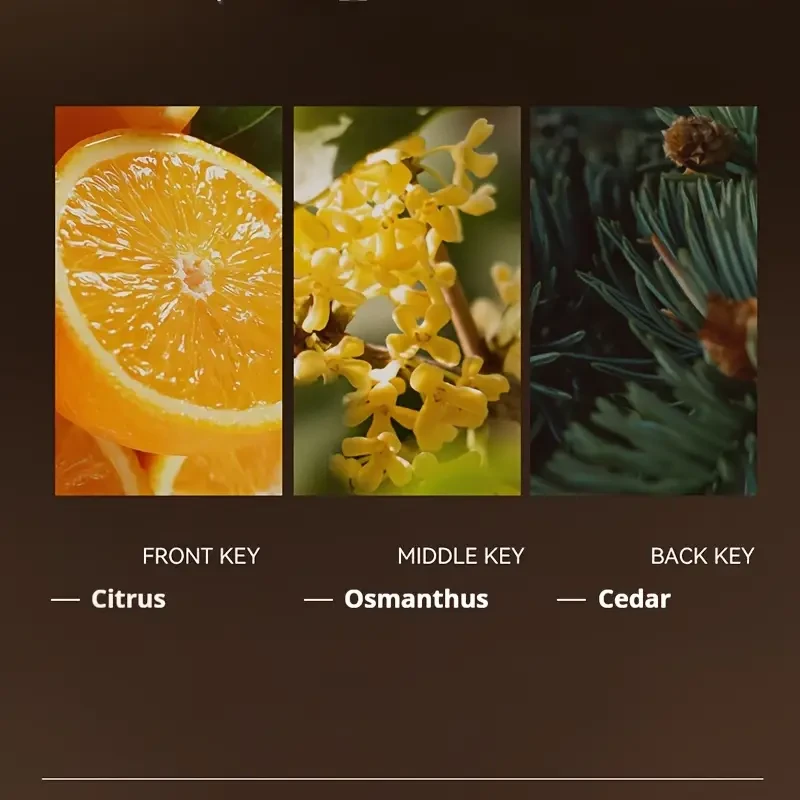 C2U Donlit Osmanthus Eau de Parfum for Women