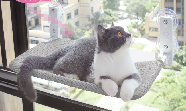 Foldable Cat Window Hammock with Strong Suction Cups