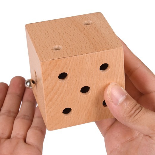 Dice Maze Educational Toy Wooden Ball Labyrinth Ball