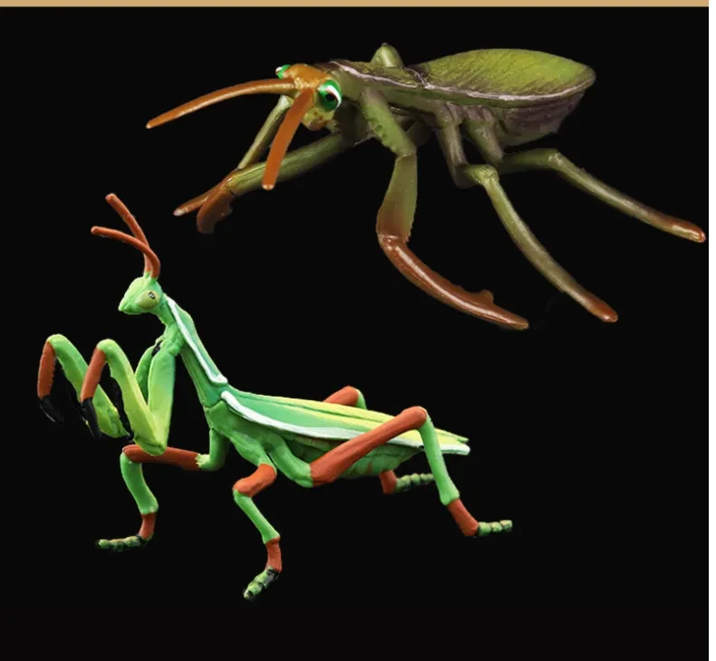 Simulation Solid Insect Model Toy Set