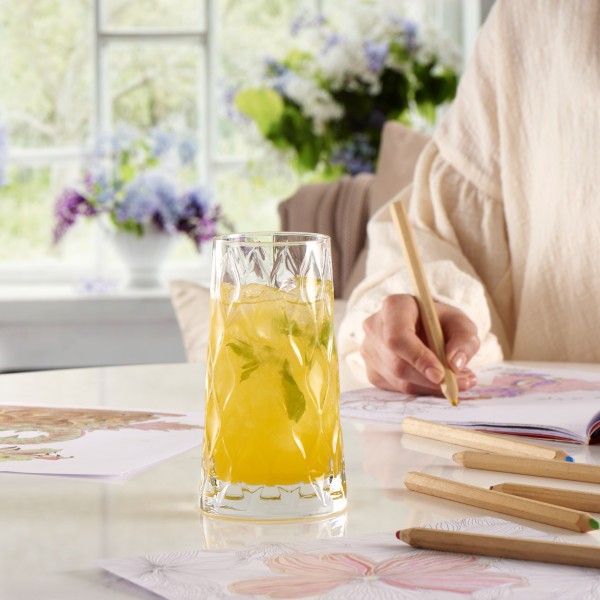 Leafy Hiball Tumbler 450ml  - Pasabahce