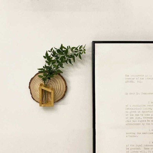 Natural Solid Wood Green Plant Decoration Wall Hanging Decoration