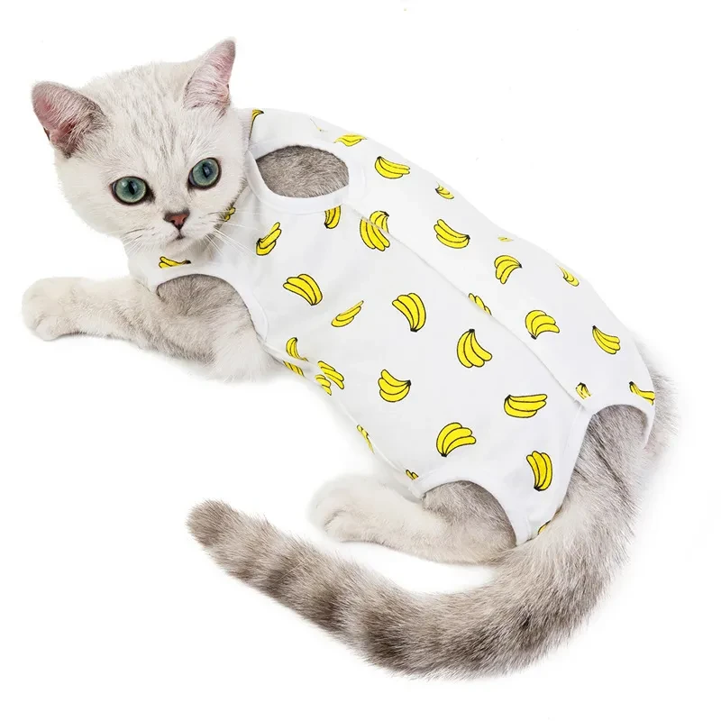 Cat Clothes
