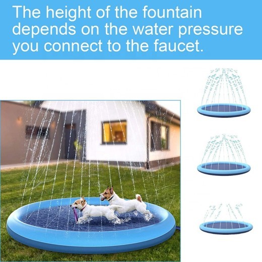 Dog Paddling Pool