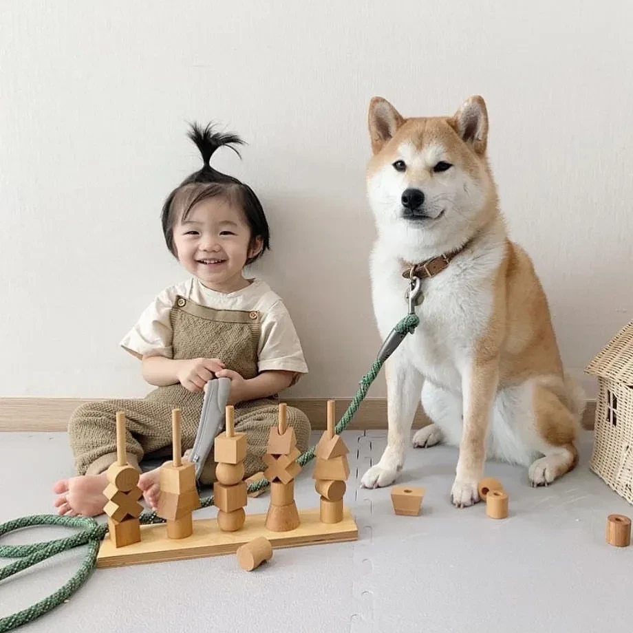 Children's Beech Building Block Decoration Toy