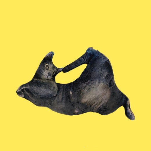 Customized Pet Pillows Without White Edges