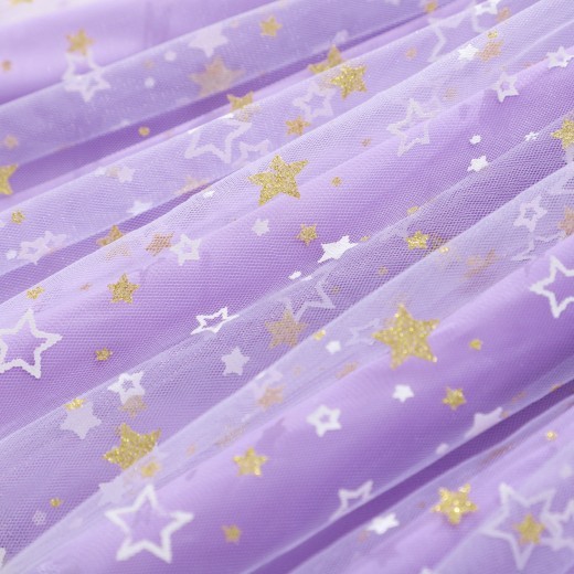 Girls' Long Sleeve Lady Star Mesh Dress