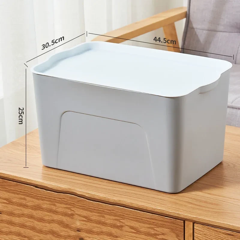 Big Plastic Containers with Lids