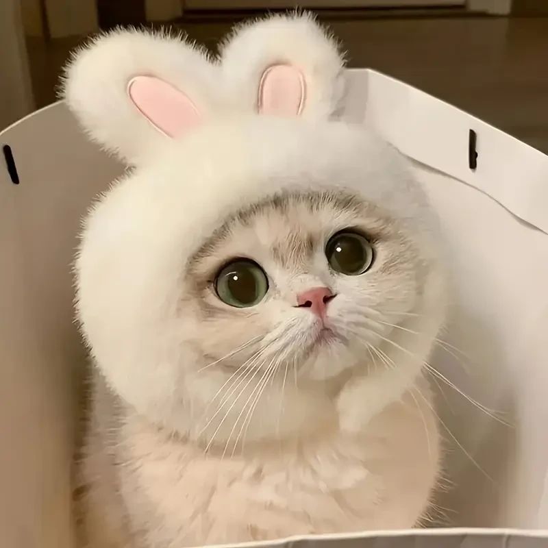 Bunny Ears Cat Hat - Easter Themed Pet Costume