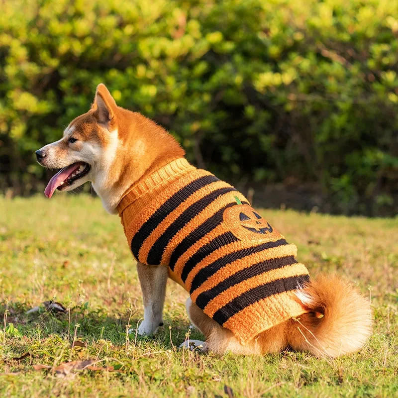 Halloween Outfits for Dogs